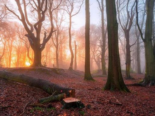 形容心灵鸡汤 每日一语