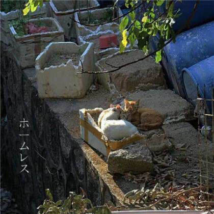 晚上下班朋友圈励志说说 励志短句十字以内