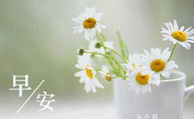 端午小长假早安句子