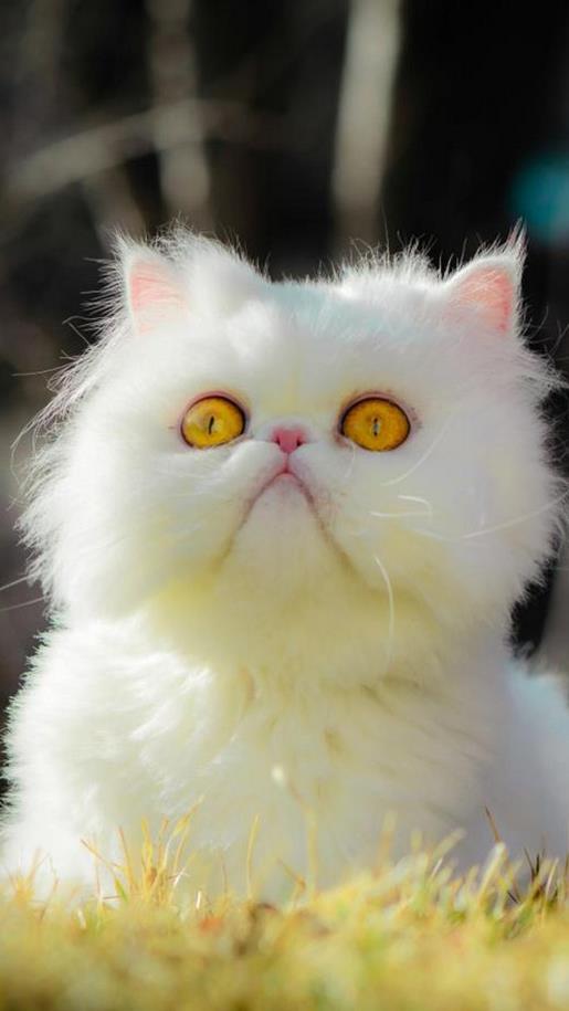 武汉加油励志说说 给自己励志加油的说说