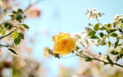 2020朋友圈励志正能量语录