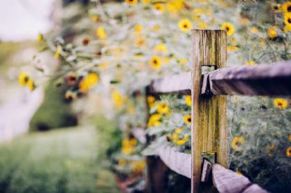 晚安励志说说自己 朋友圈晚安心语