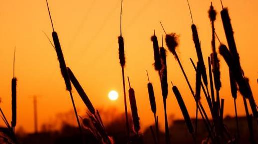 经典爱情名言警句 愤世嫉俗、嫉妒、占有