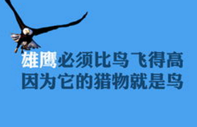 心疼励志的句子