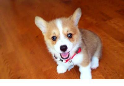 关于婚纱的说说短句 一个人穿婚纱伤感说说