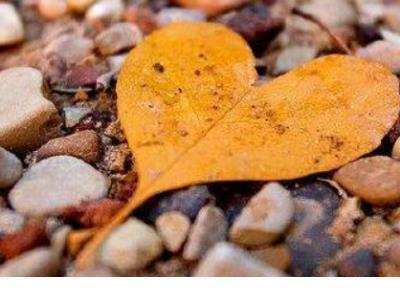 早安心语正能量一句话简短 句子