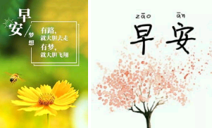 俏皮可爱的早安句子