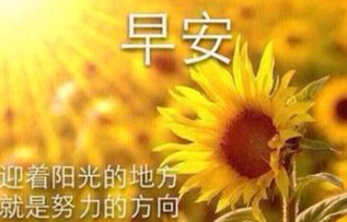 写给爱人的早安句子简单