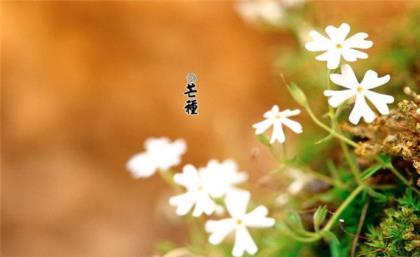 关于高考励志的ppt 励志说说配图片