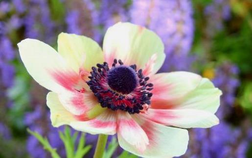 心很累烦恼有很多说说 烦透了句子说说心情