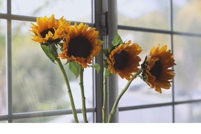 心很累烦恼有很多说说 烦透了句子说说心情