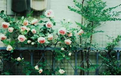 心很累烦恼有很多说说 烦透了句子说说心情