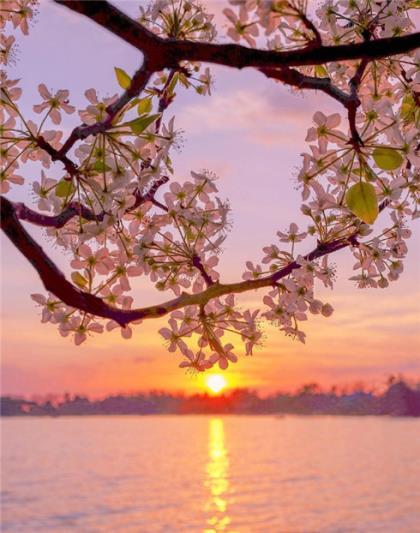 适合发qq的句子霸气 qq说说心情短语励志