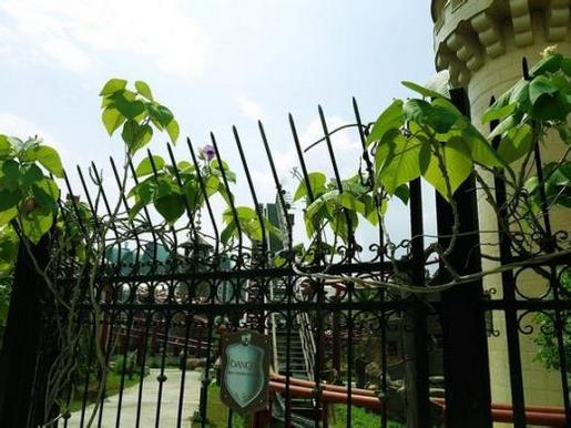 朋友圈励志说说正能量 焦虑的心情，想把你吃掉