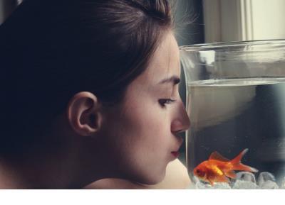 爱情温馨晚安心语图片 温馨短语问候大全晚安