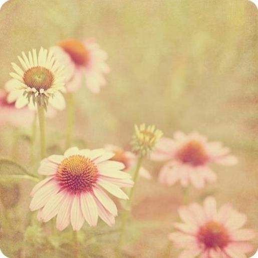 好朋友说说心情短语 -巴尔扎克，(搅水的女人