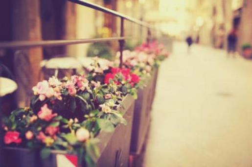 死原知万物空，但悲不见九州伴