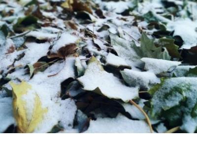 干净10字以内短句