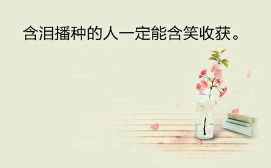 光芒万丈励志的句子6