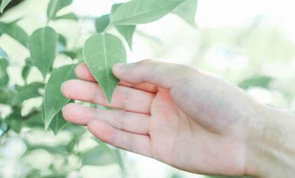 写给女生的励志的句子 写给男孩子的励志句子