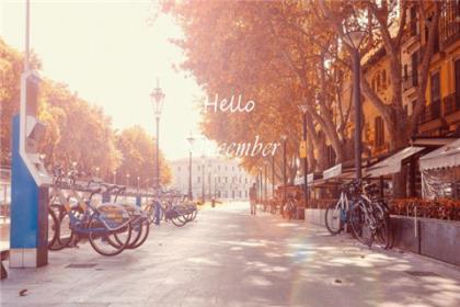 关于感恩老师的文章 小学毕业感谢老师短句