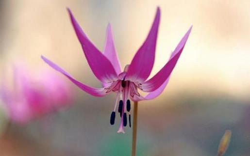 失眠的伤感说说心情 深夜失眠伤感的说说