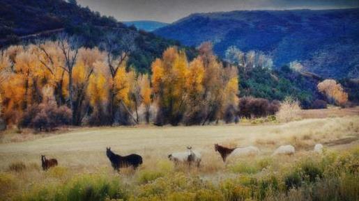 励志短句十字以内 自己二十四岁生日励志说说