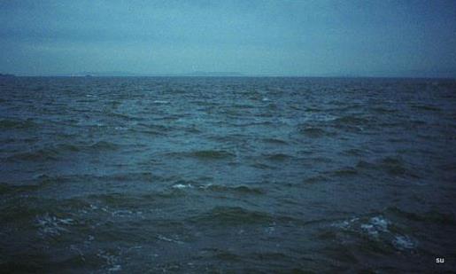 钢笔圆珠笔铅笔 最新2021元旦促销广告词