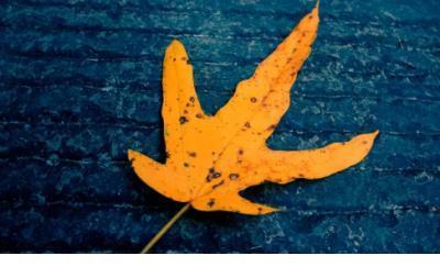 哄女孩子开心的故事 逗女孩开心的幽默句子情话