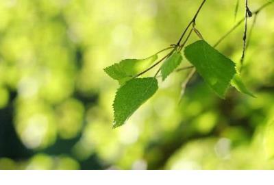 2020说说励志霸气