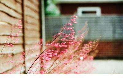 2020说说励志霸气