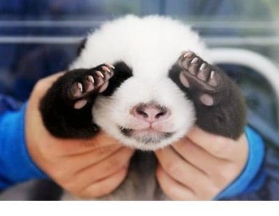 个签名心情短语励志 对付感冒；去睡觉