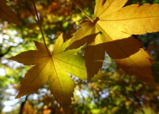 让心情好的励志说说配图 一个人的过去是越来越