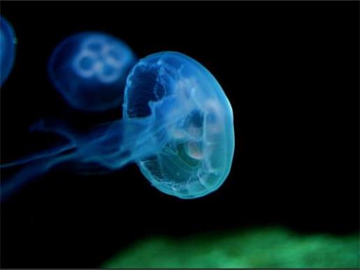 情侣个性签名霸气恩爱 你还在等什么？生命在于