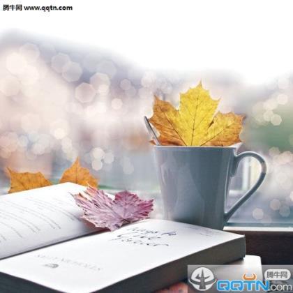 早起适合发朋友圈句子 ”什么意思？“每天都很