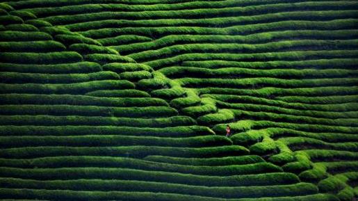 适合发朋友圈的句子正能量 心灵鸡汤句子