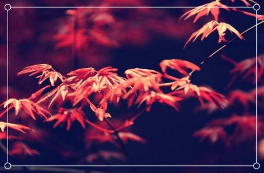 语录很现实又很扎心的句子