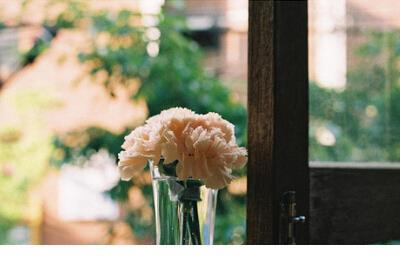 做一个温暖的女子语录 打开心扉拥抱太阳的美好