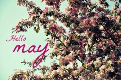 做一个温暖的女子语录 打开心扉拥抱太阳的美好