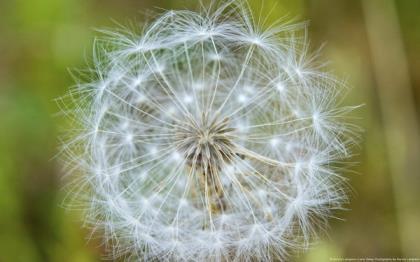 给女生留言的暖心短句 暖心留言给女生短字