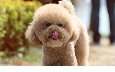 情话最暖心短句给男生 感谢相遇的唯美句子短