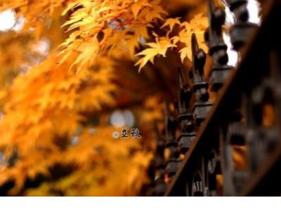 关于生命的感悟 歌颂生命传承