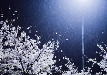 关于生命的感悟 歌颂生命传承