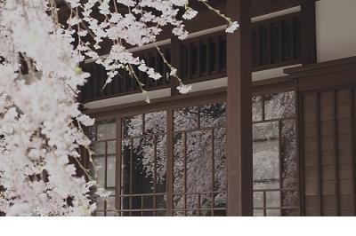 写给自己的励志语 一个好的团队励志句子