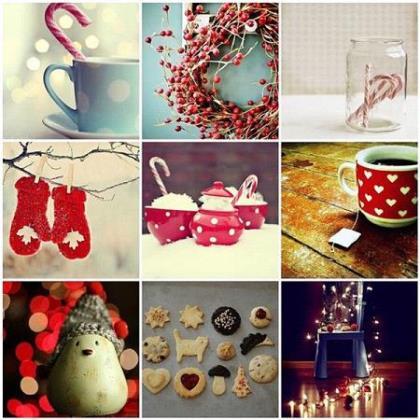 小学生描写花儿的句子 描写花的优美句子短句