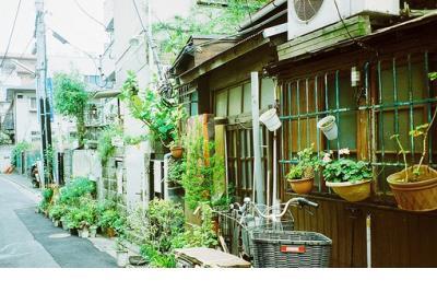 古文伤仲永翻译少 诸天之爹顾少伤