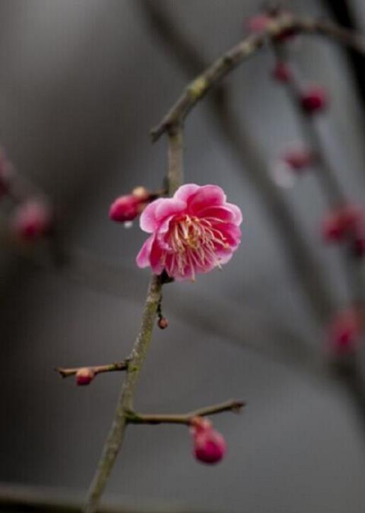 描写清晨的云的优美句子 描写云的句子大全