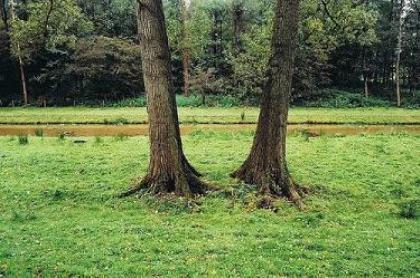 描写秋天优美句子摘抄 妈妈比你不要我，觉得我