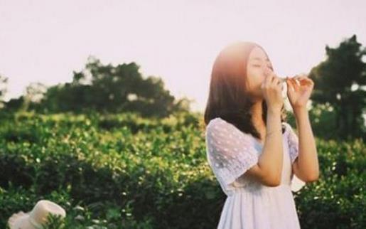 一个人可以被毁灭，但不能被打败