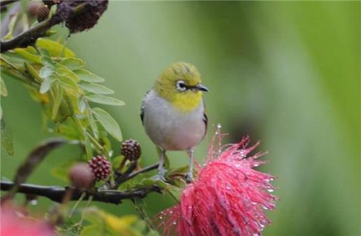 生活太累的朋友圈句子 好好生活的句子朋友圈